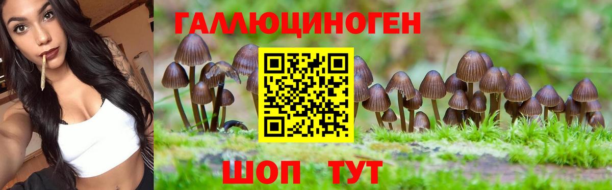 Россия  Галлюциногенные грибы ЛСД  Вход с VPN 