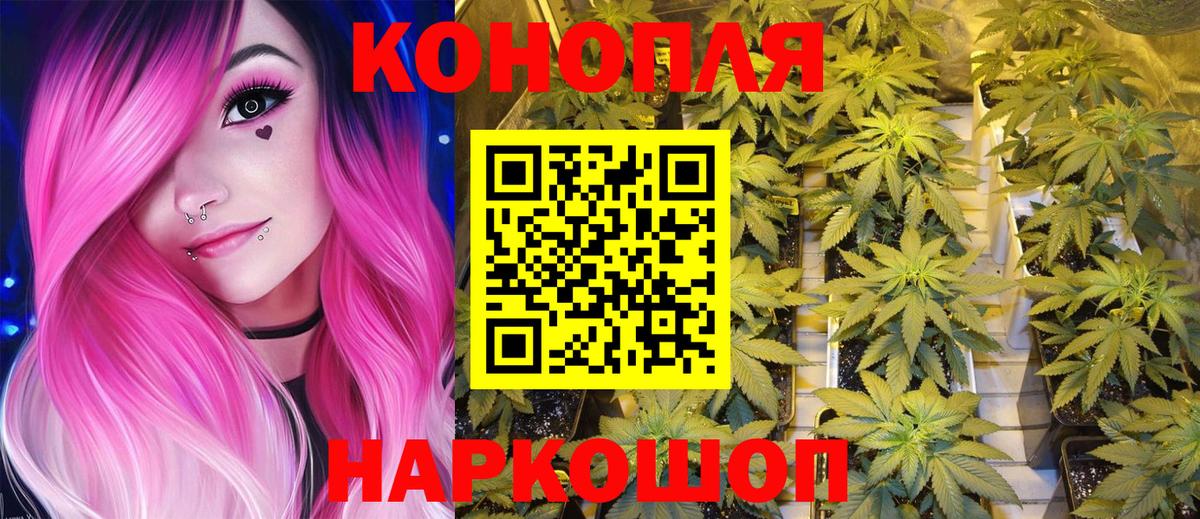 Каннабис индика Россия